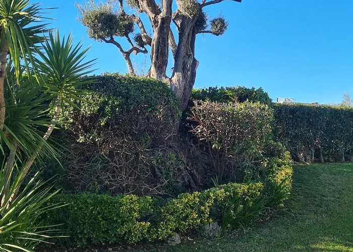 T2 De Vacances, דירה אנטיב